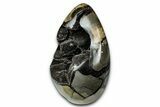 Polished Dragon Egg Septarian Geode - Free-Standing #339341-1